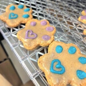 Decorated Dog Cookies